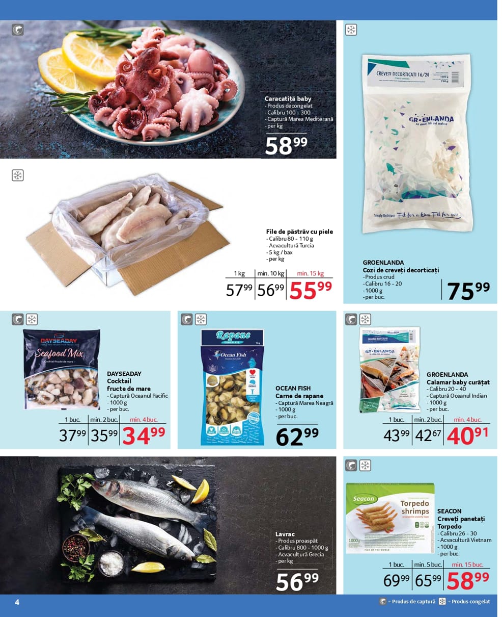 catalog Selgros gastro food